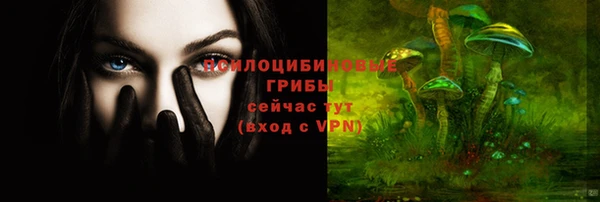 прущий лед Строитель