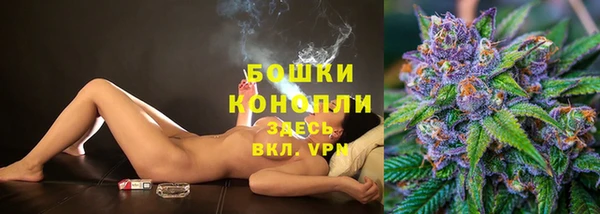 молекула духа Богородск