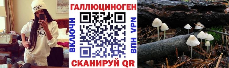 сайты даркнета официальный сайт  сколько стоит  Моздок  Псилоцибиновые грибы Cubensis 